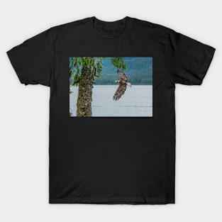 Flying Bald Eagle with a fish T-Shirt